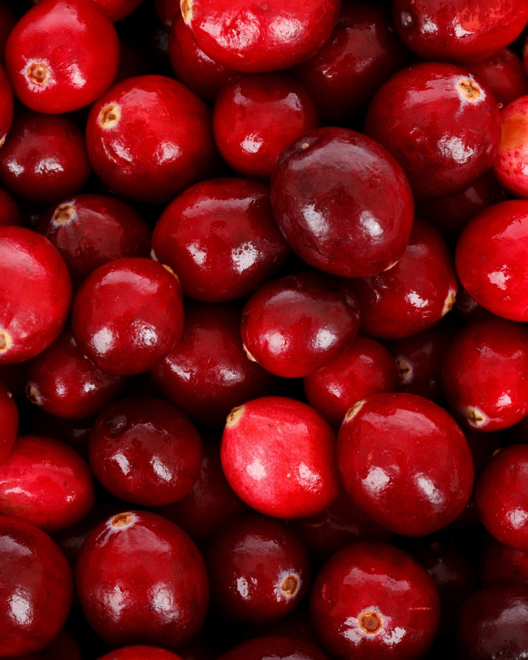 Cranberry Seed Oil