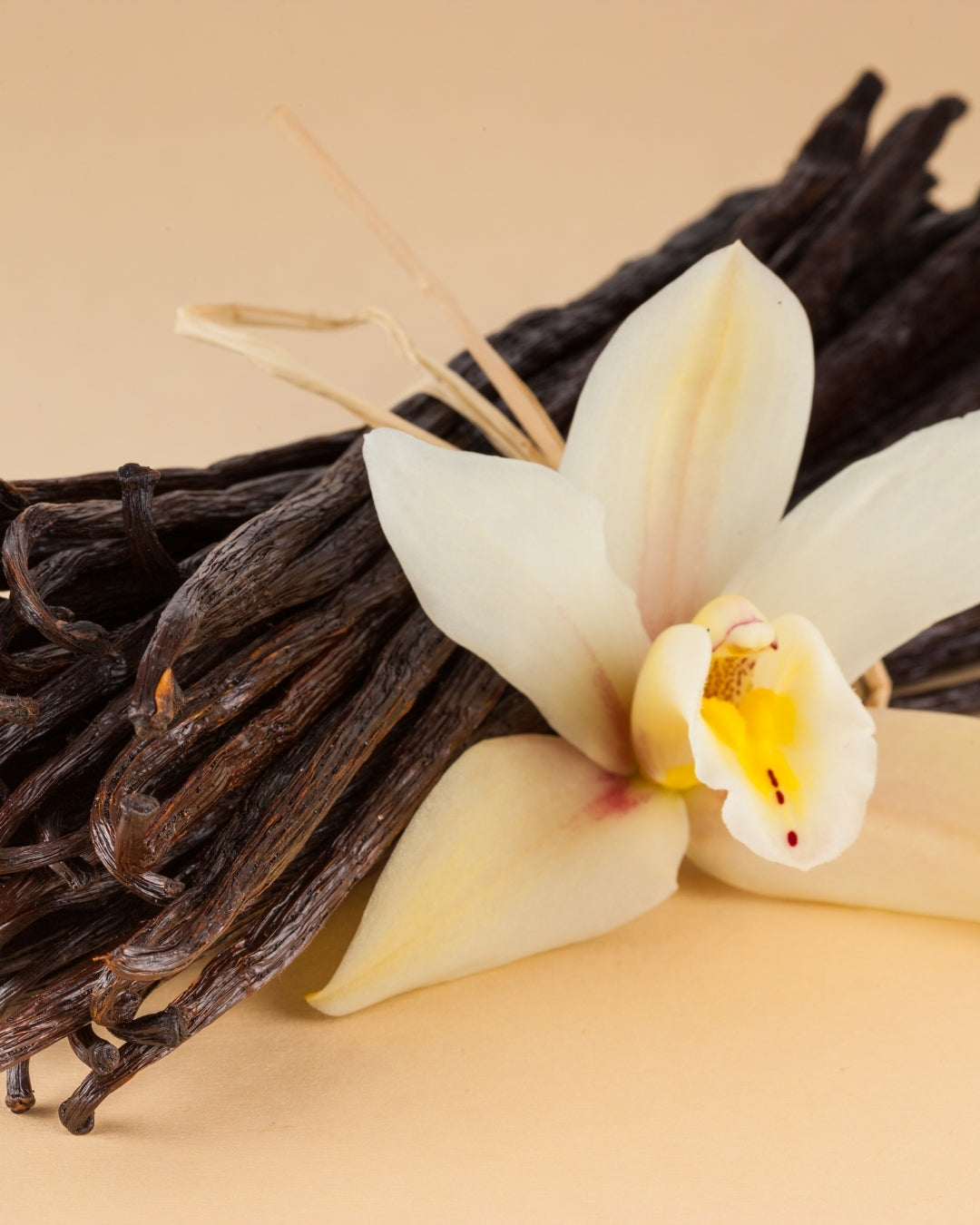 Vanilla Flower oil